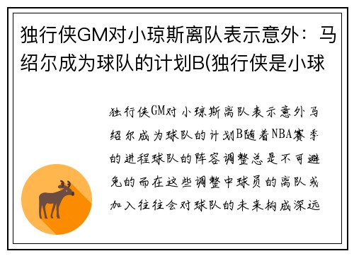 独行侠GM对小琼斯离队表示意外：马绍尔成为球队的计划B(独行侠是小球市吗)