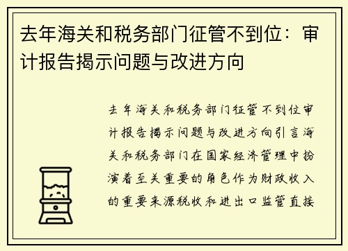 去年海关和税务部门征管不到位：审计报告揭示问题与改进方向